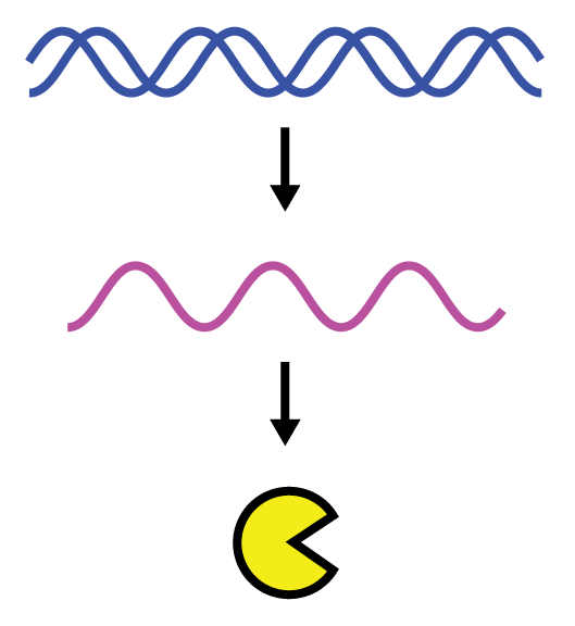 about-image